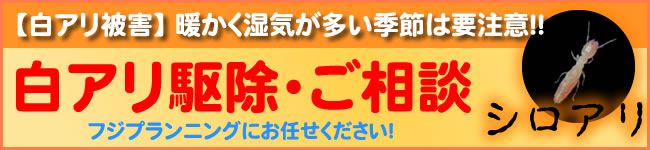 雨漏り修理、シロアリ駆除